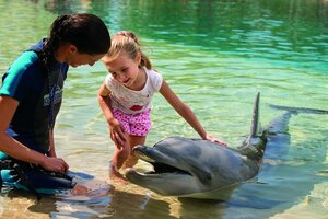 Гостиница Wyndham Surfers Paradise