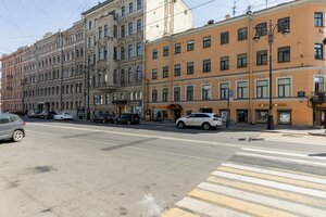 Абрикосовое дерево Елагин