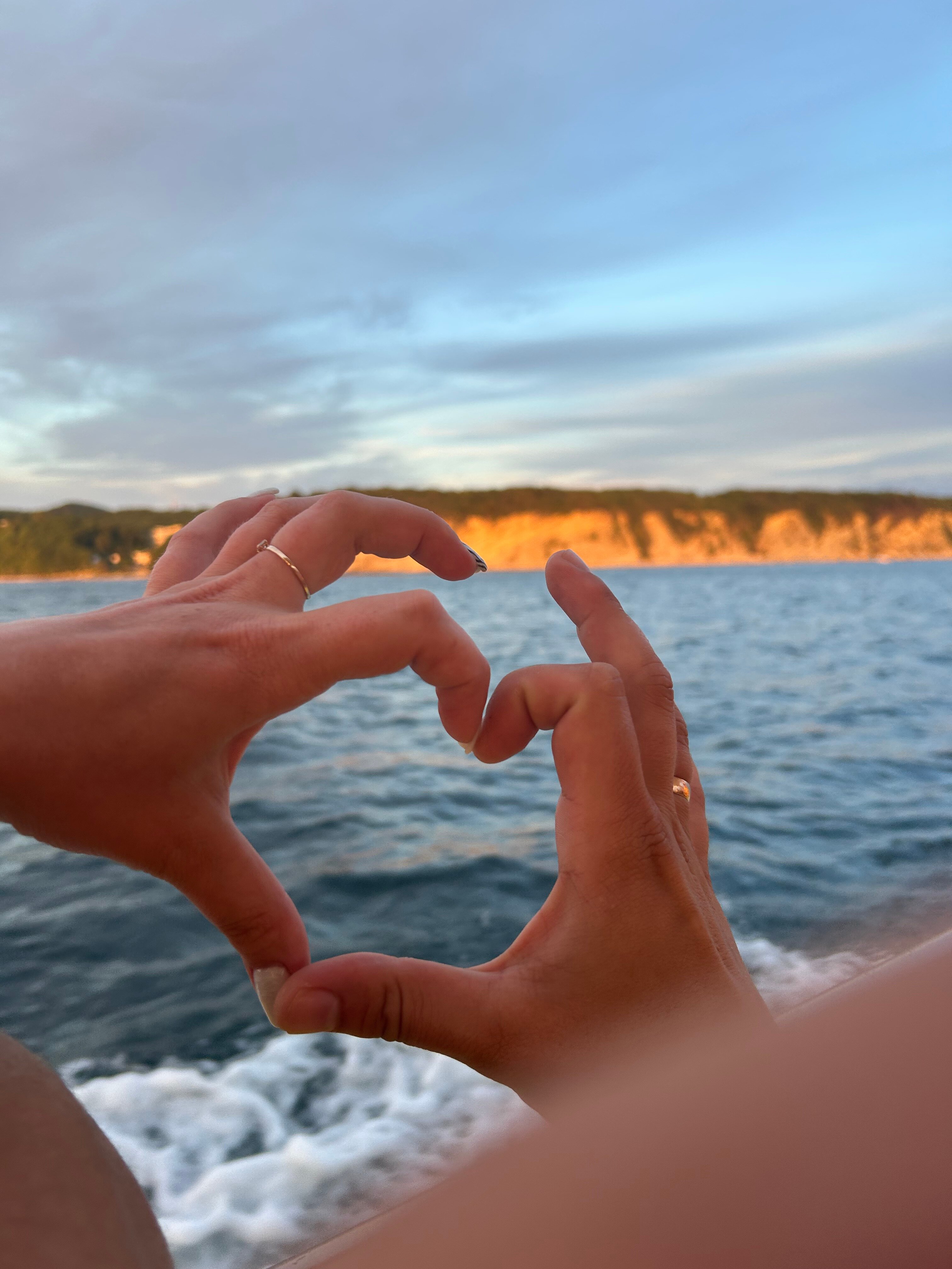 Фото Дельфин