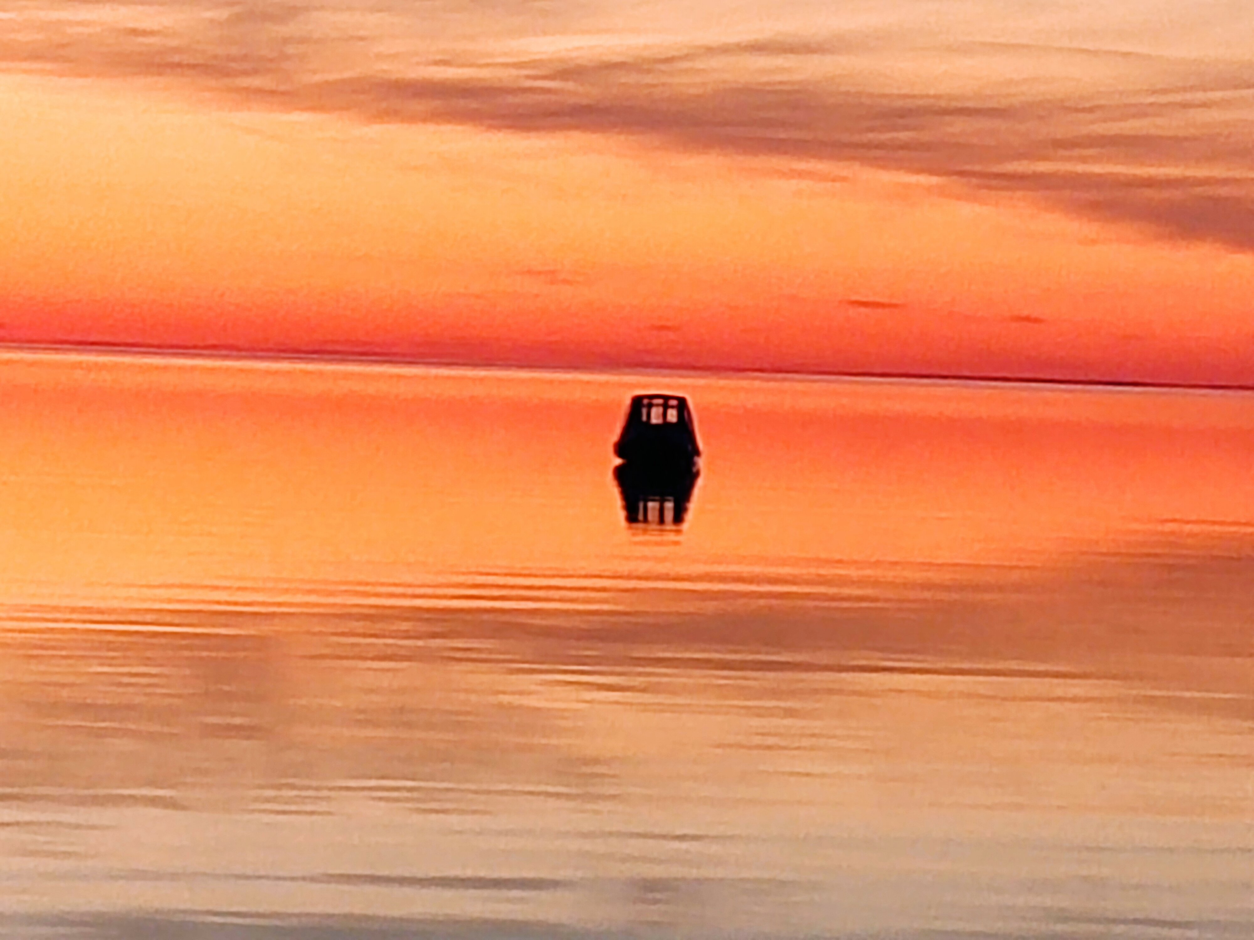 Фото Белый кит