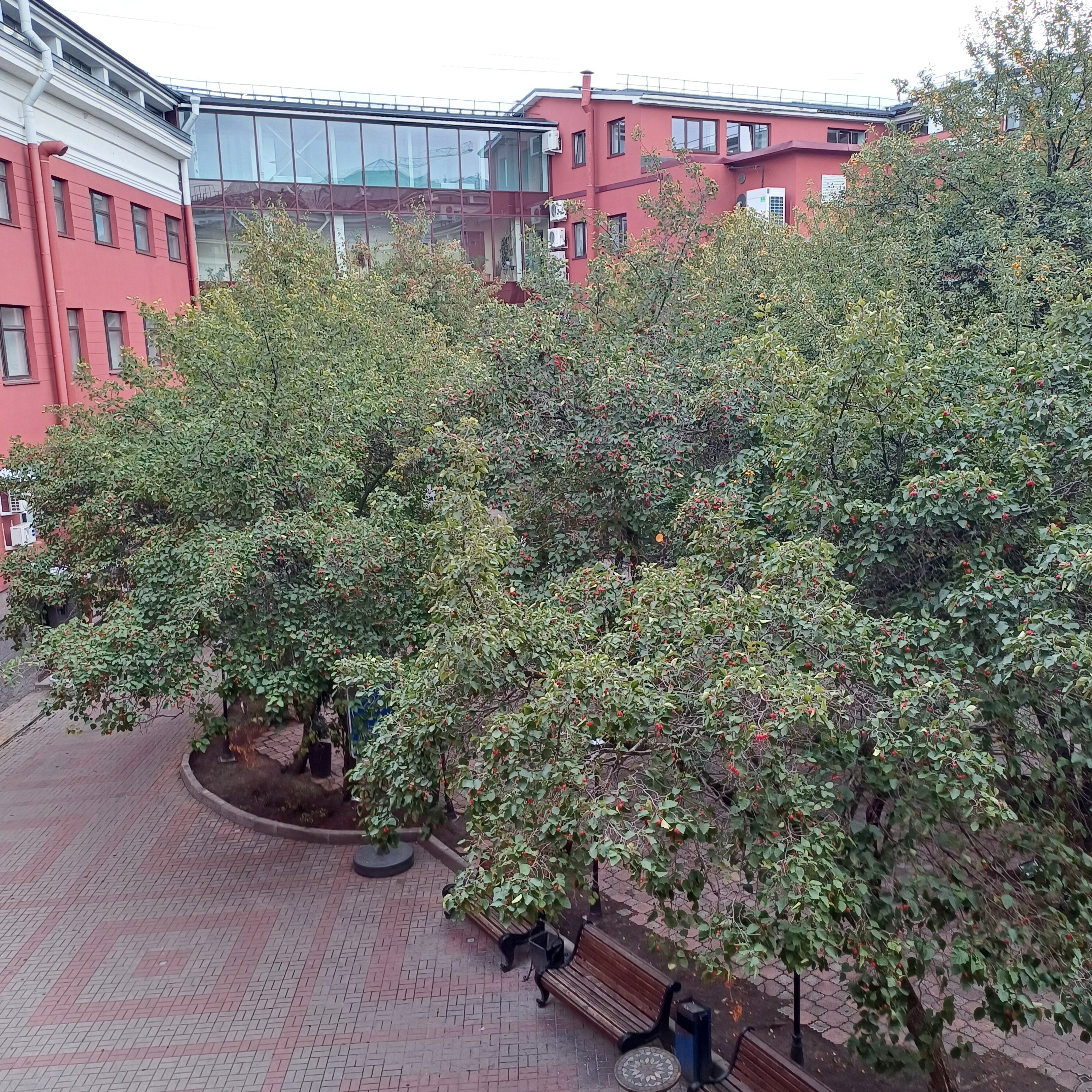 Фото Северная