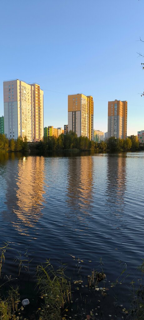 الطبيعة Экологическая тропа Бурнаковская низина ، نيجني نوفغورود، صورة