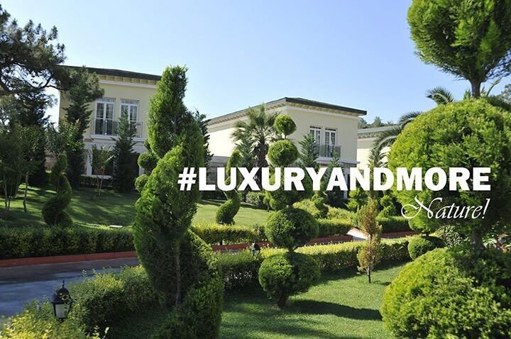 Masaj salonu Wellness & SPA, , foto