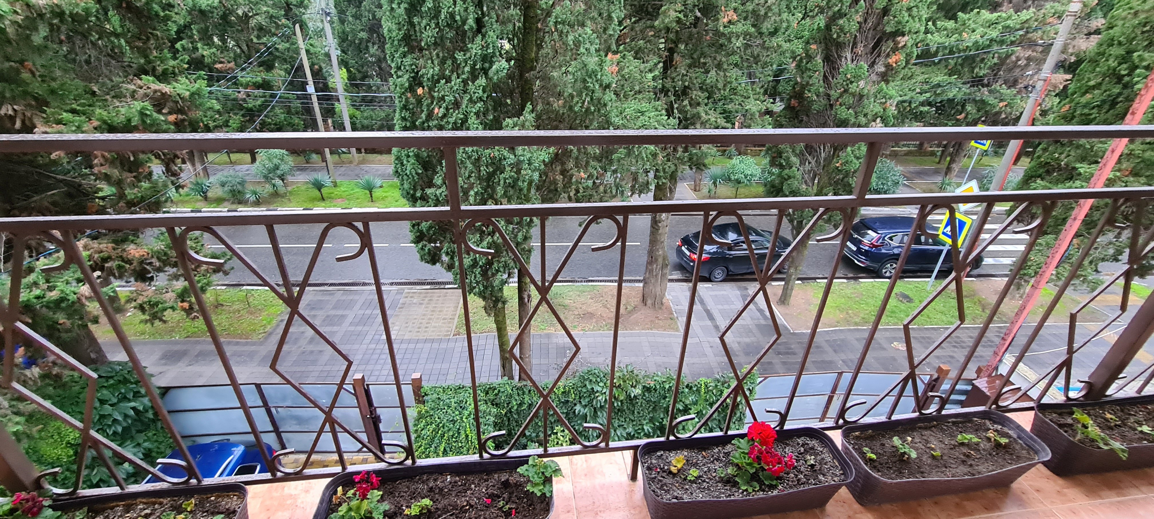 Фото Лаванда