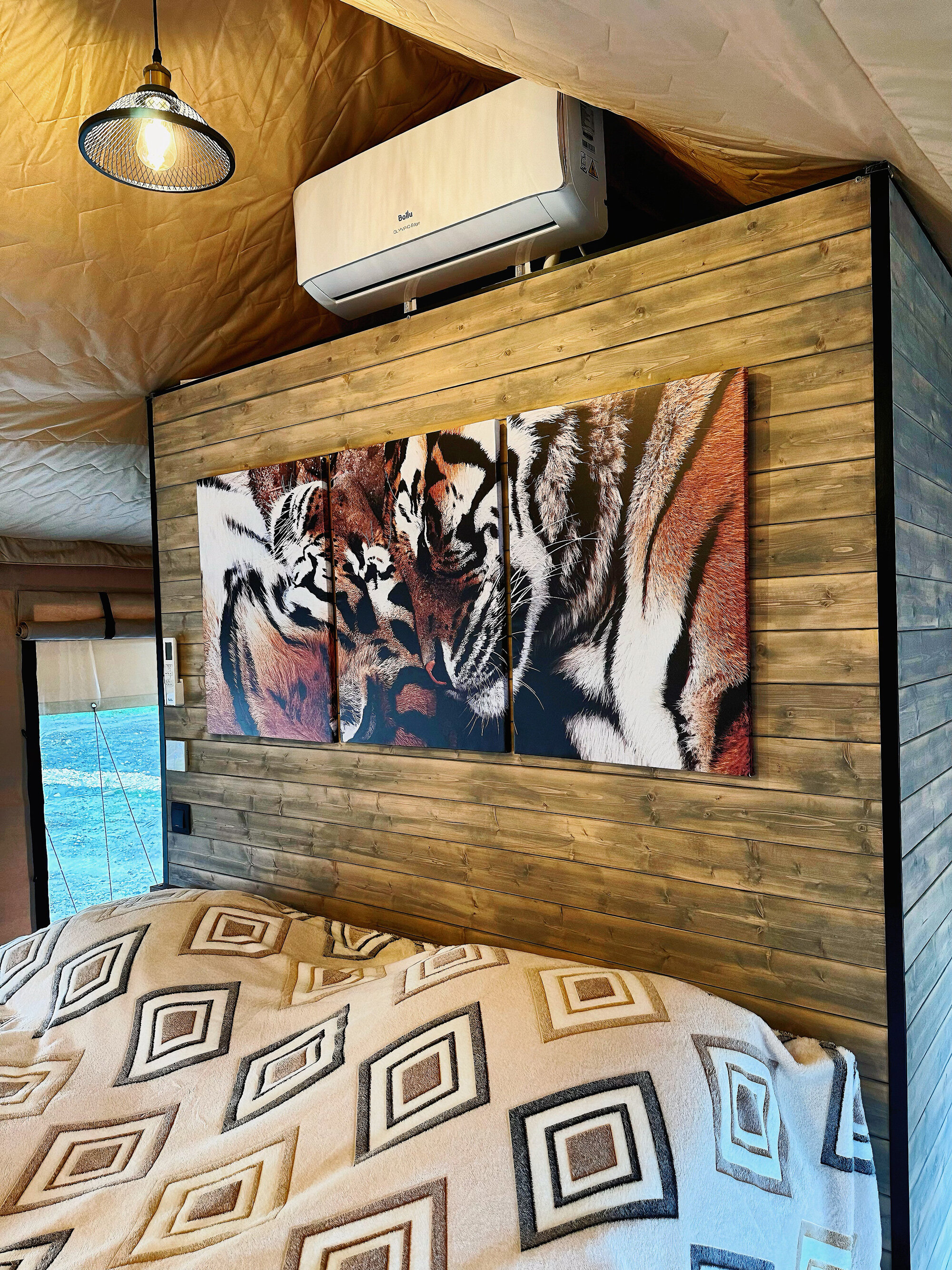 Фото Иййоки