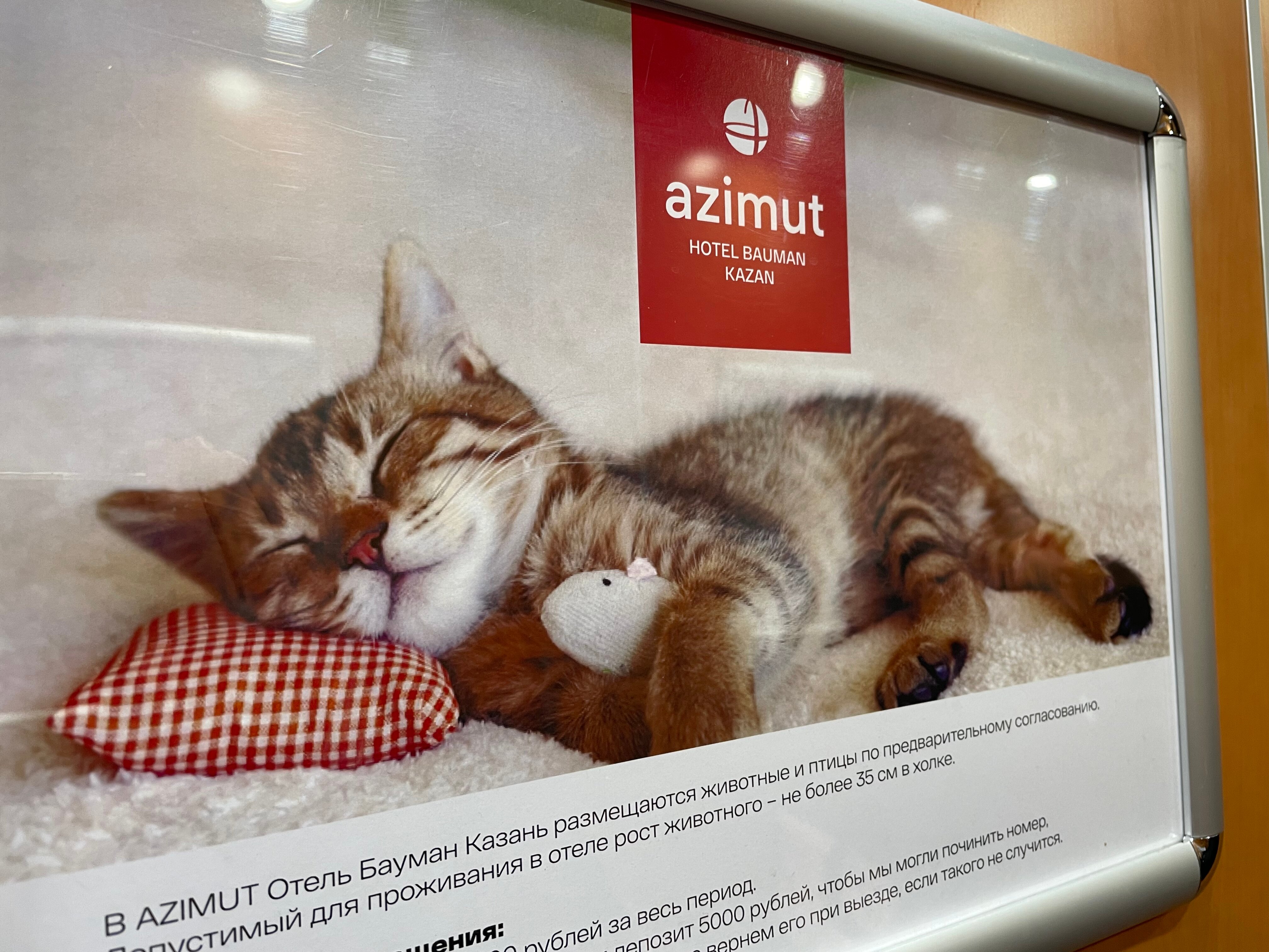 Фото Azimut Отель Бауман Казань