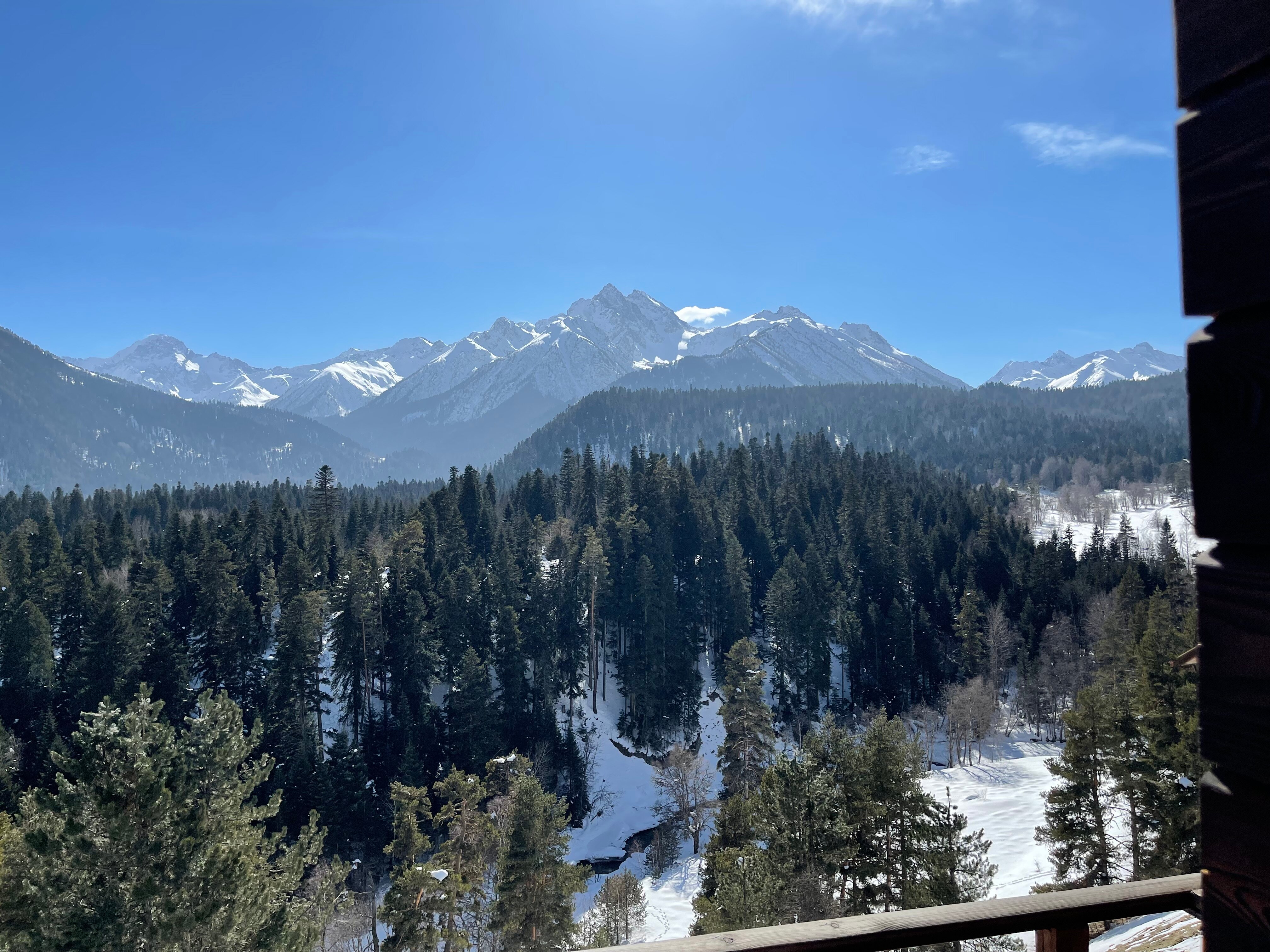 Фото Форест коттедж