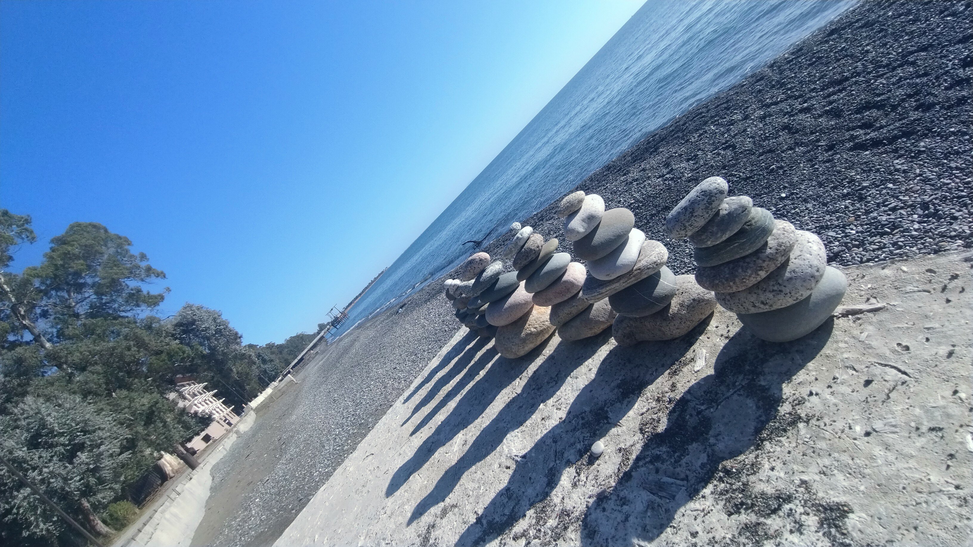 Фото Эвкалиптовая роща