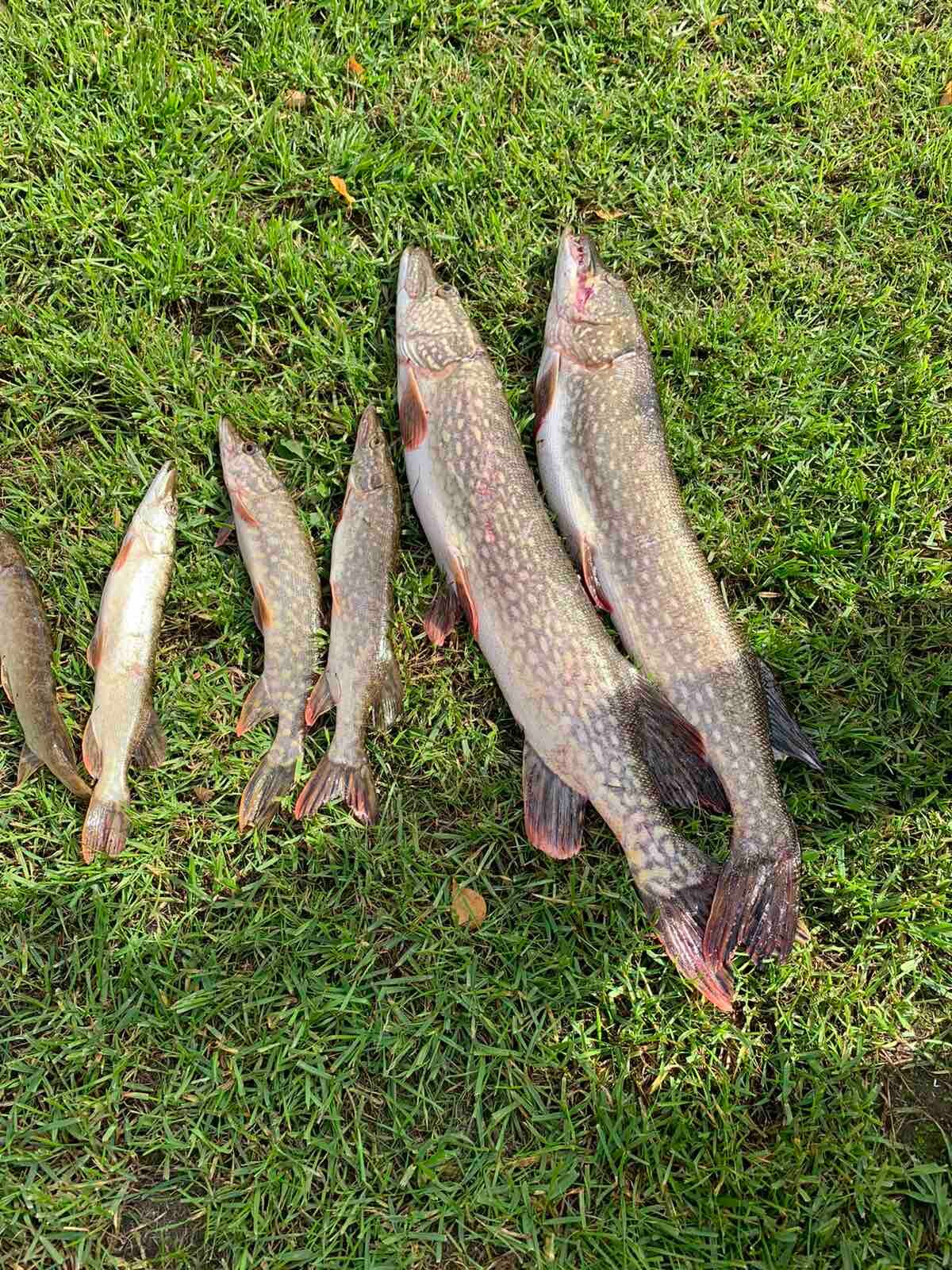 Фото Клевое место