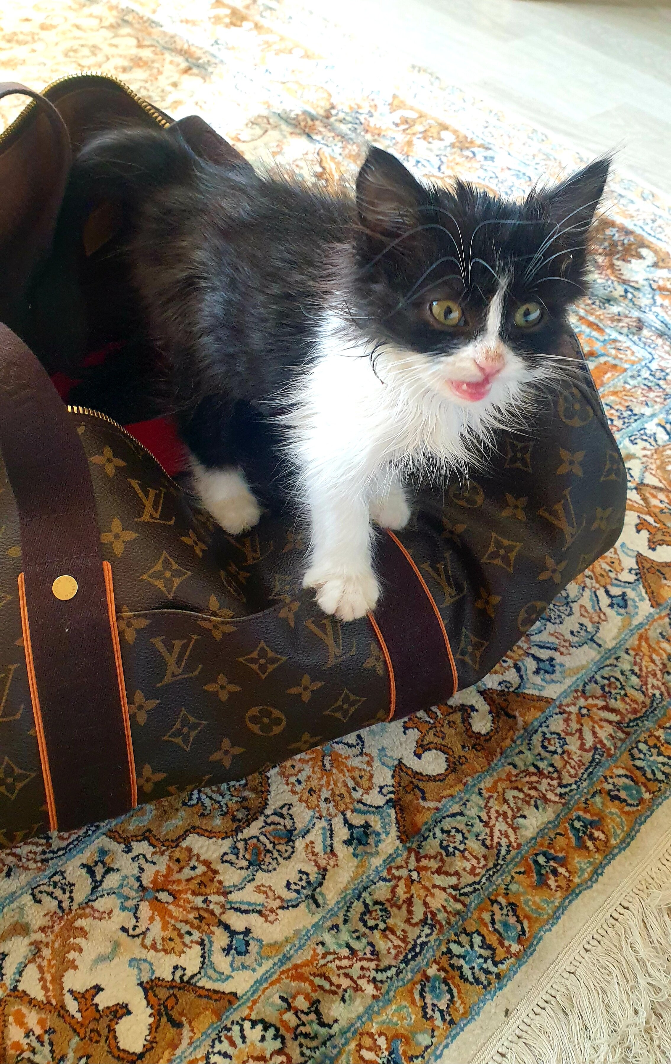 Фото Горки Город