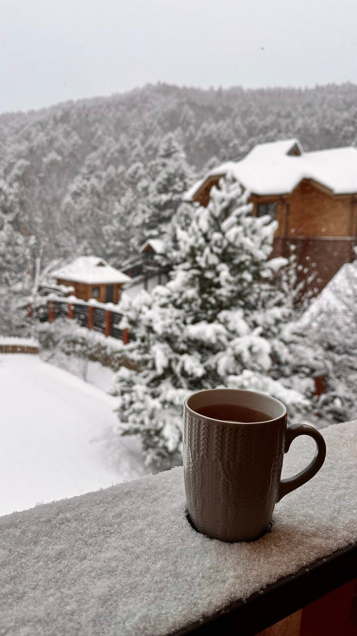 Фото Forest trail