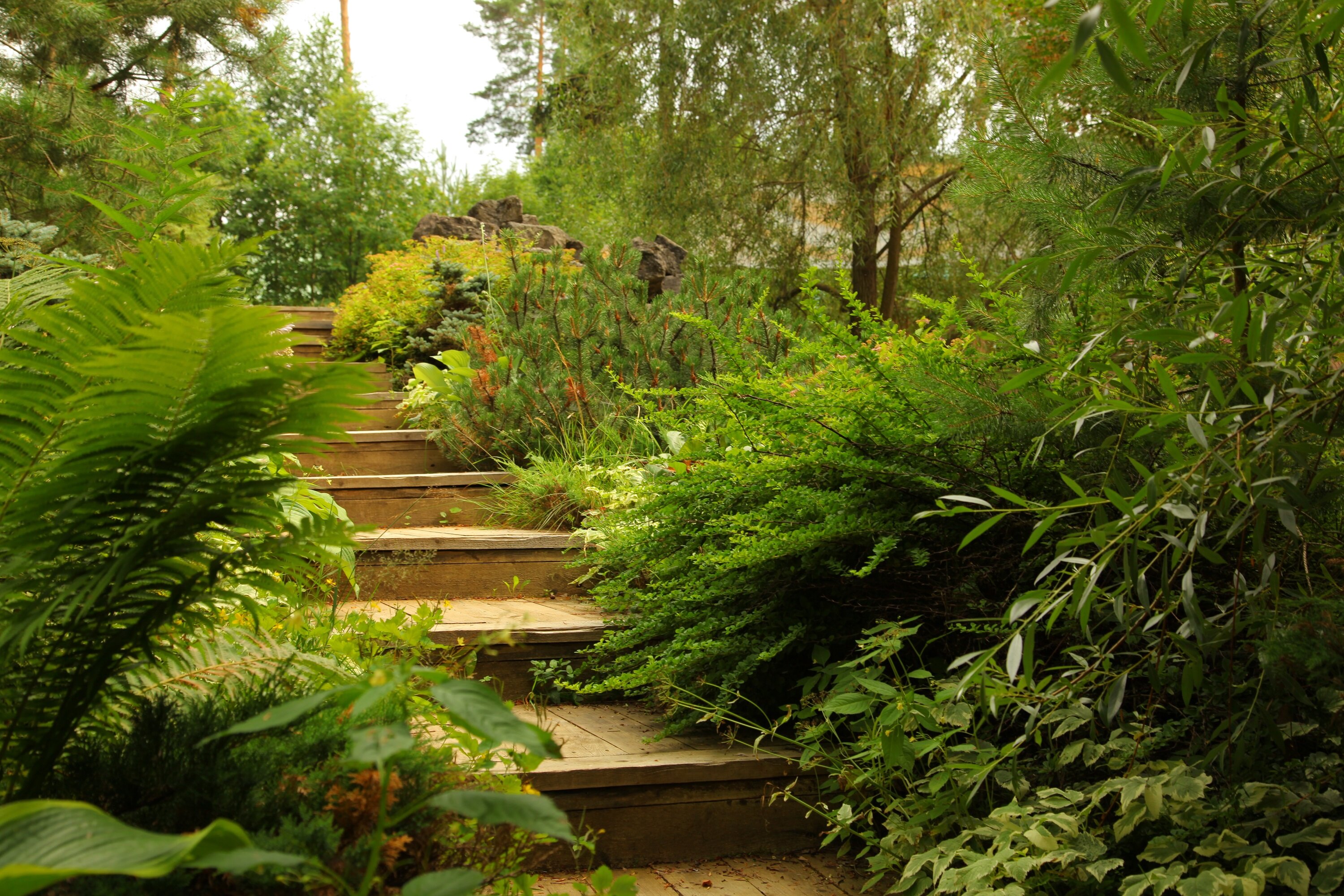 Фото Ателика Улиткино