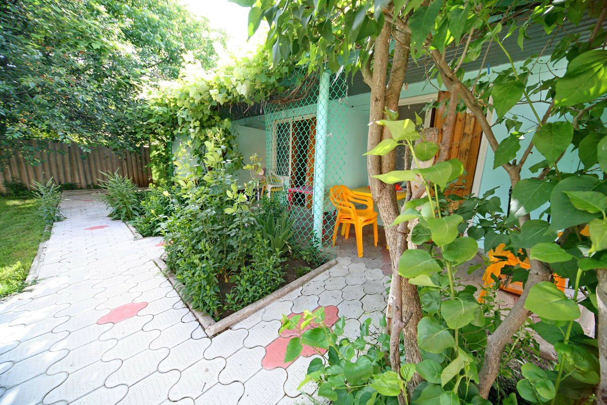 Фото Лукоморье