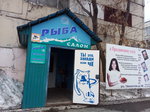 Рыбный магазин (ulitsa Chekistov, 38/1), fish and seafood