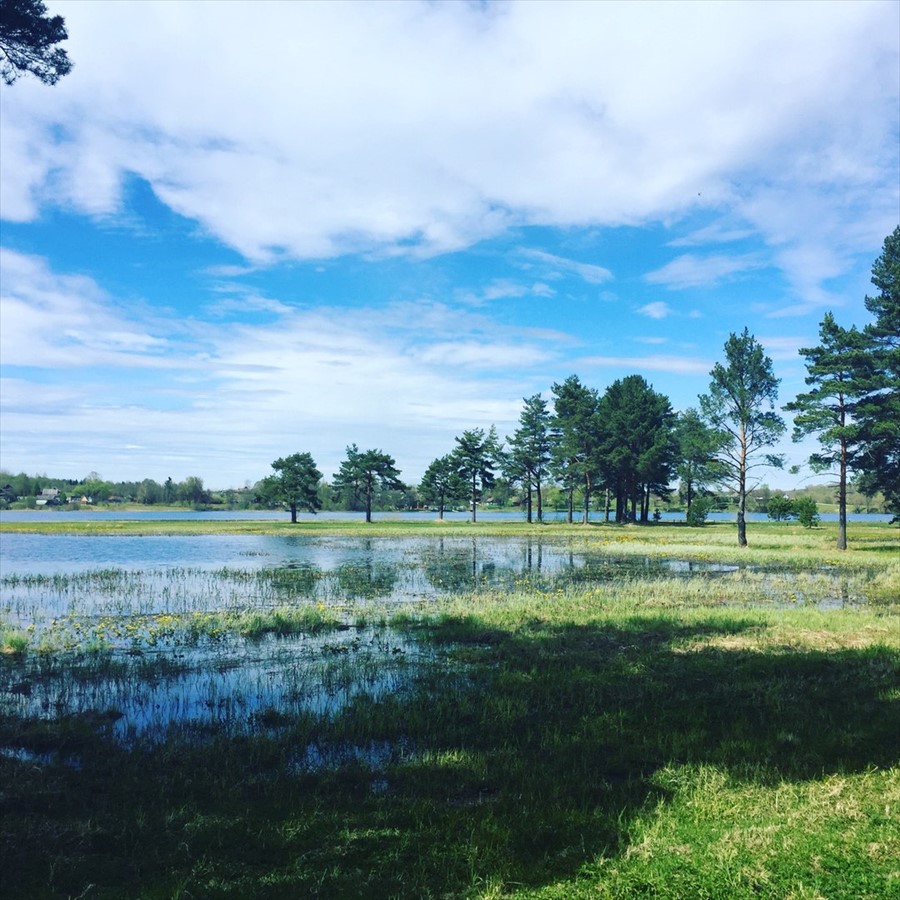 Фото Green Gold Park