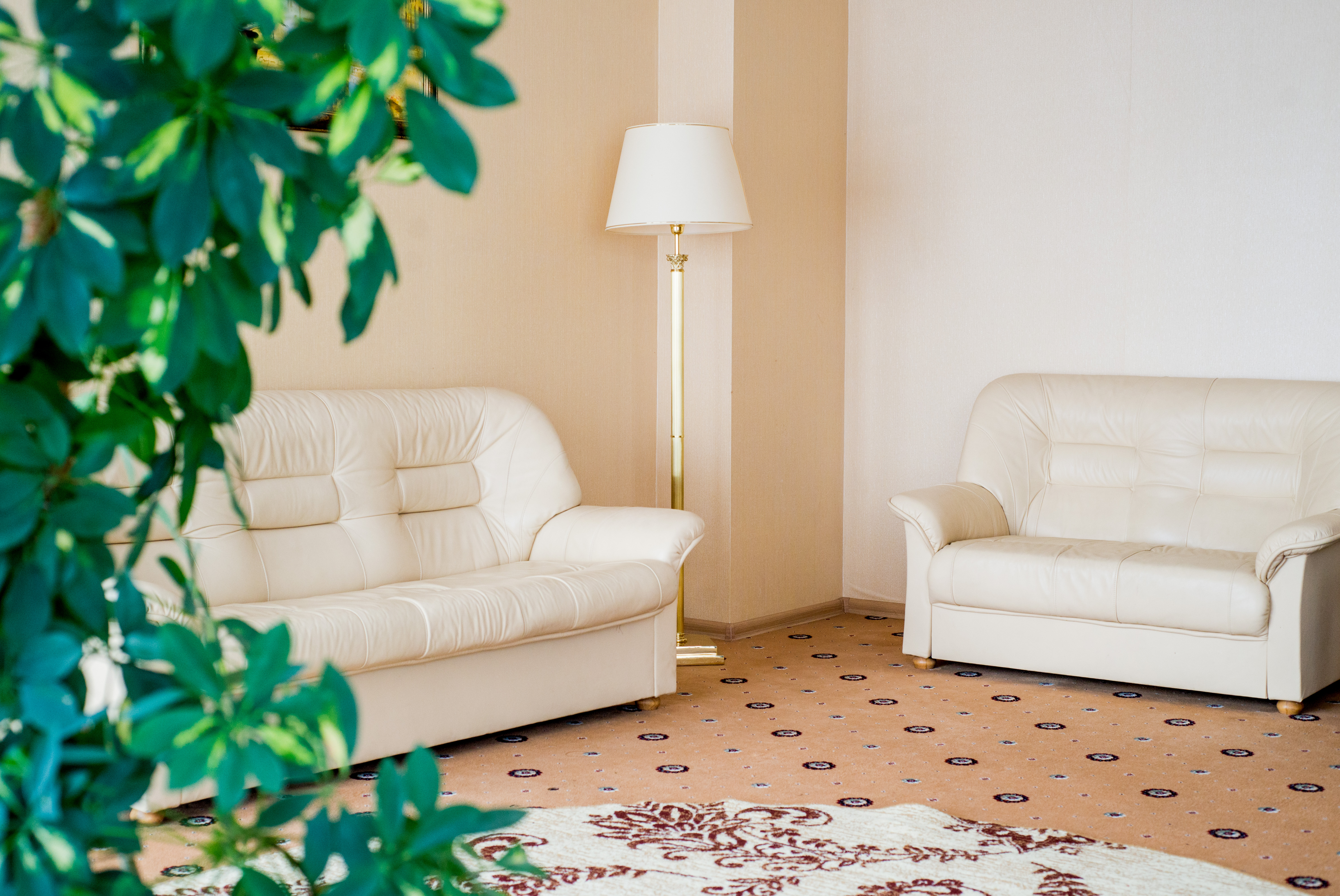 Фото Профит