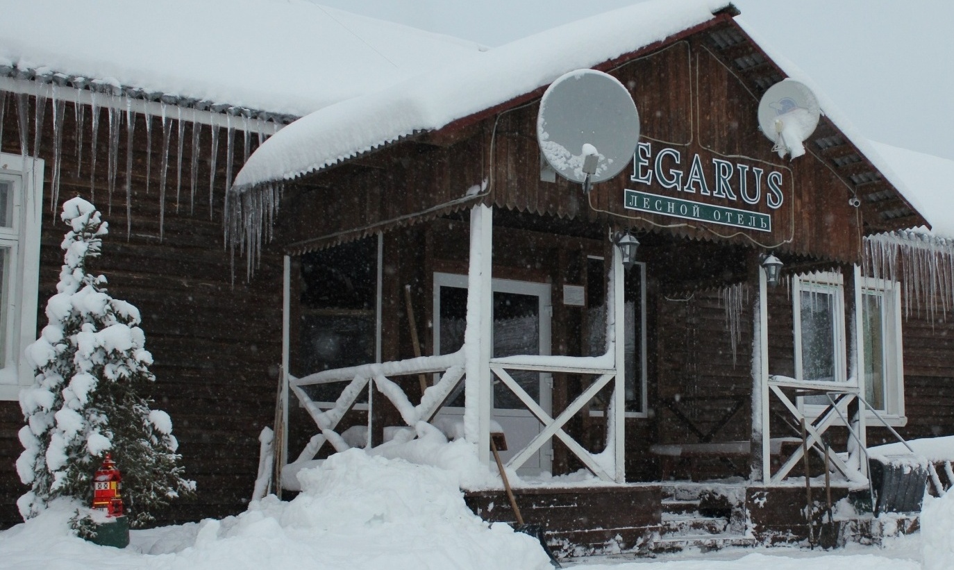 Фото Вегарус