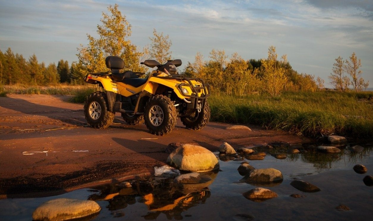 Фото Villa Vitele