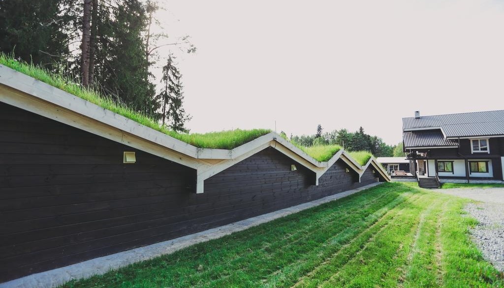 Фото Времена Года