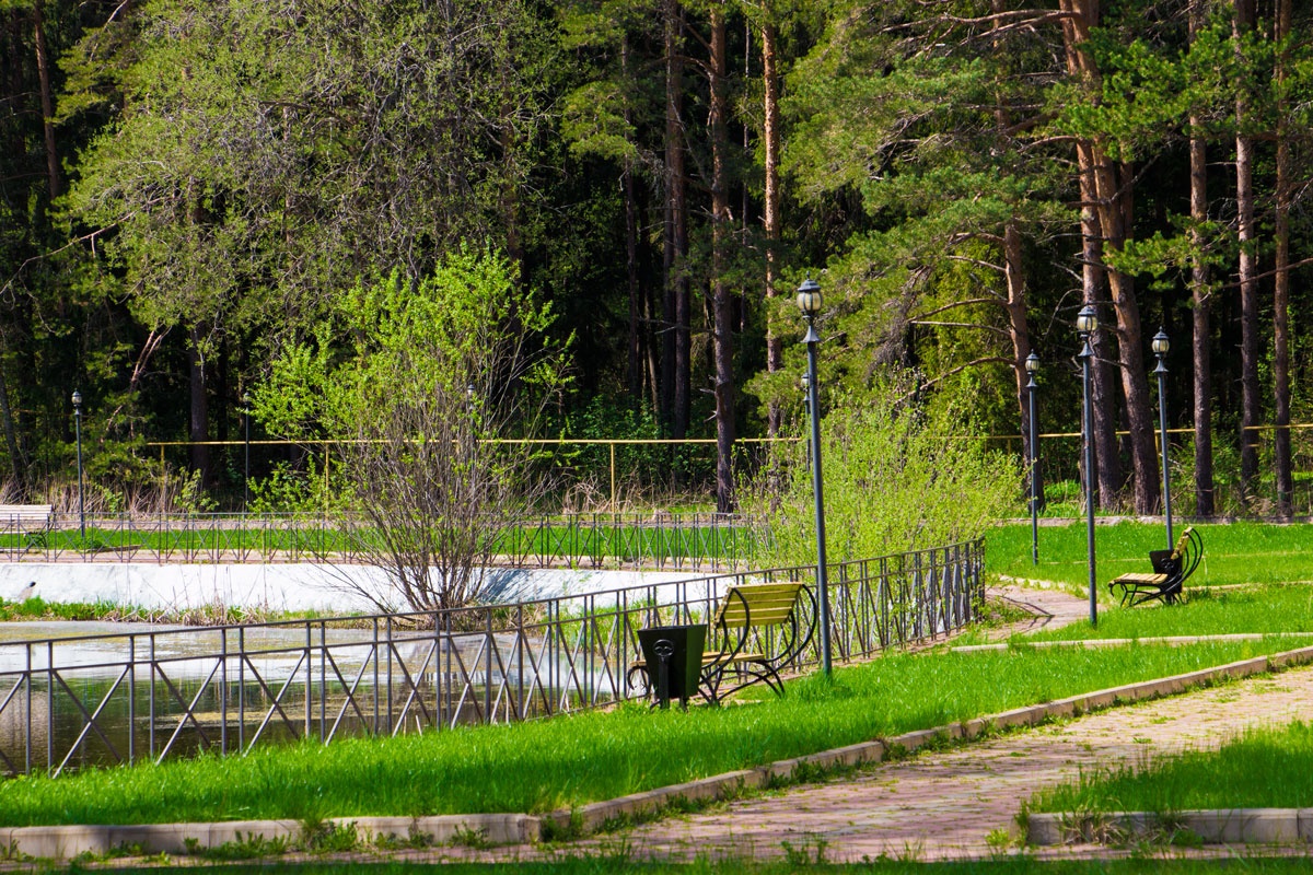 Фото Лесная сказка