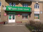 Цветоптторг (просп. Косыгина, 34, корп. 1), доставка цветов и букетов в Санкт‑Петербурге