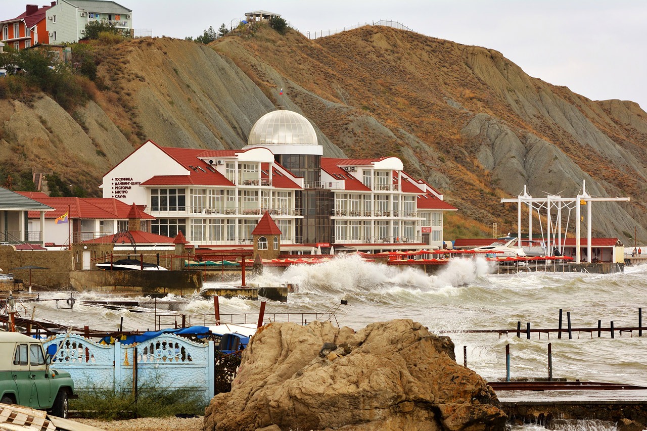 Фото Белый Грифон