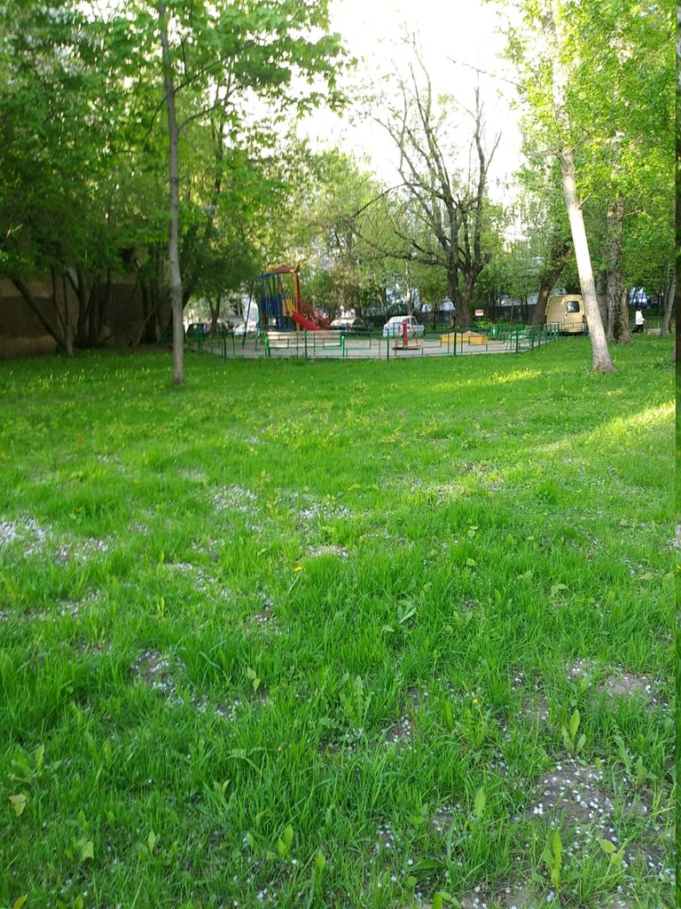 Playground Playground, Moscow, photo
