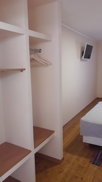 Фото Кактус