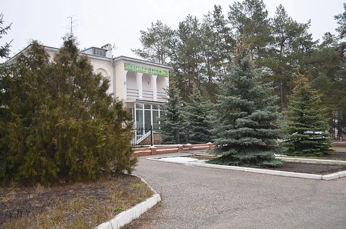 Гостиница Лесная поляна в Жирновске
