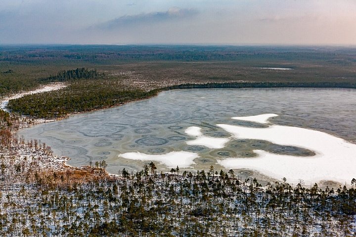 База, дом отдыха Озеро Моховое, Витебская область, фото