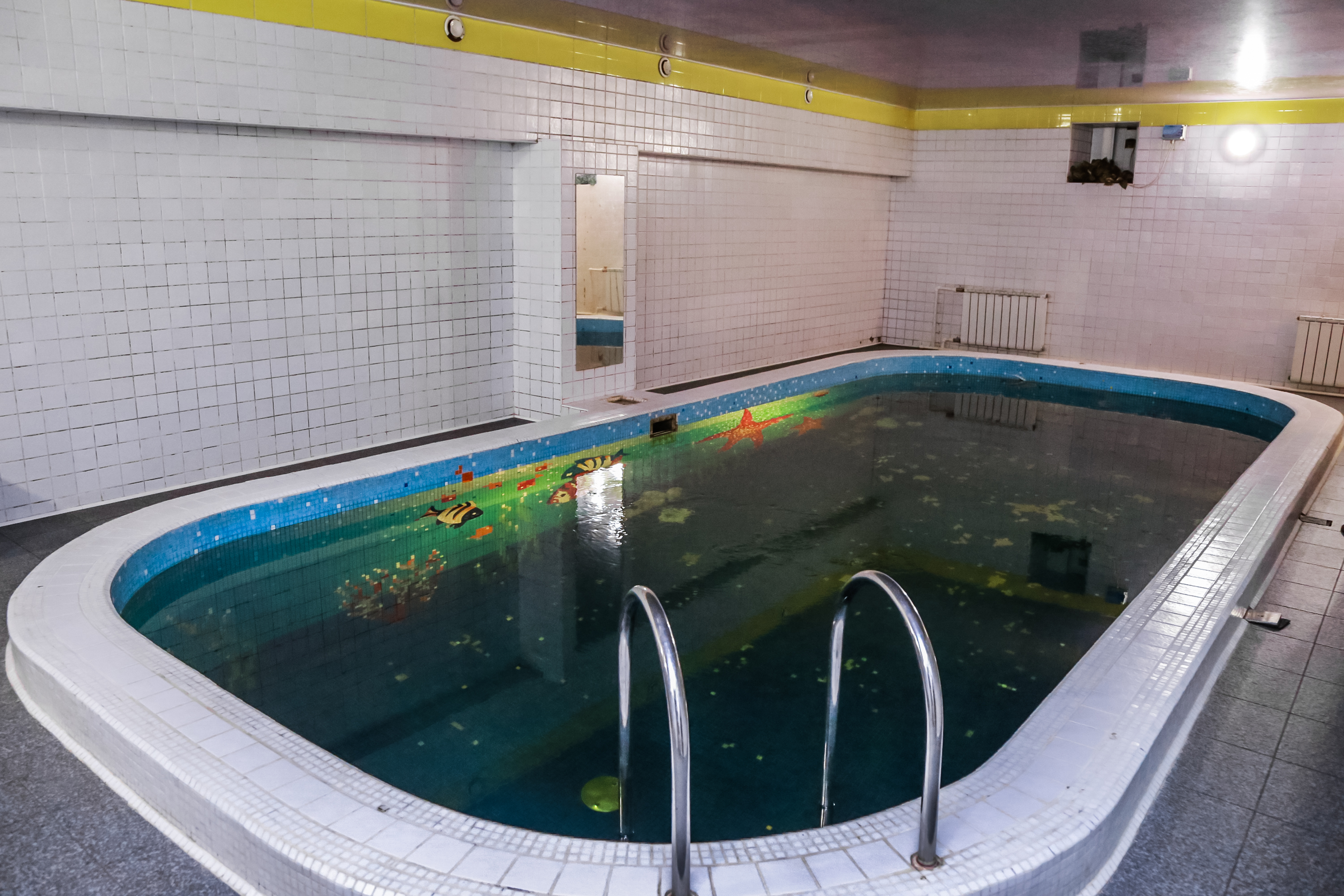 Фото Феликс