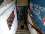 Фото 8 Магазин автозапчастей и автотоваров Шушары-Авто
