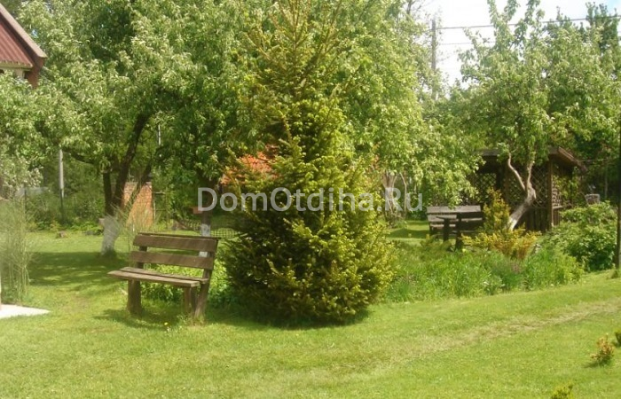 Фото Зеленый Сад