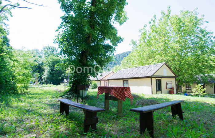 Фото Сосновый Бор