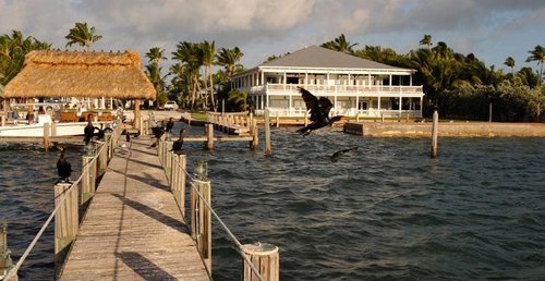 Гостиница The Caribbean Resort