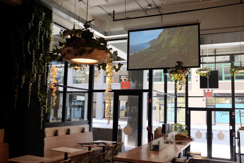 Coffee shop Bluestone Lane Dumbo Café, New York, photo