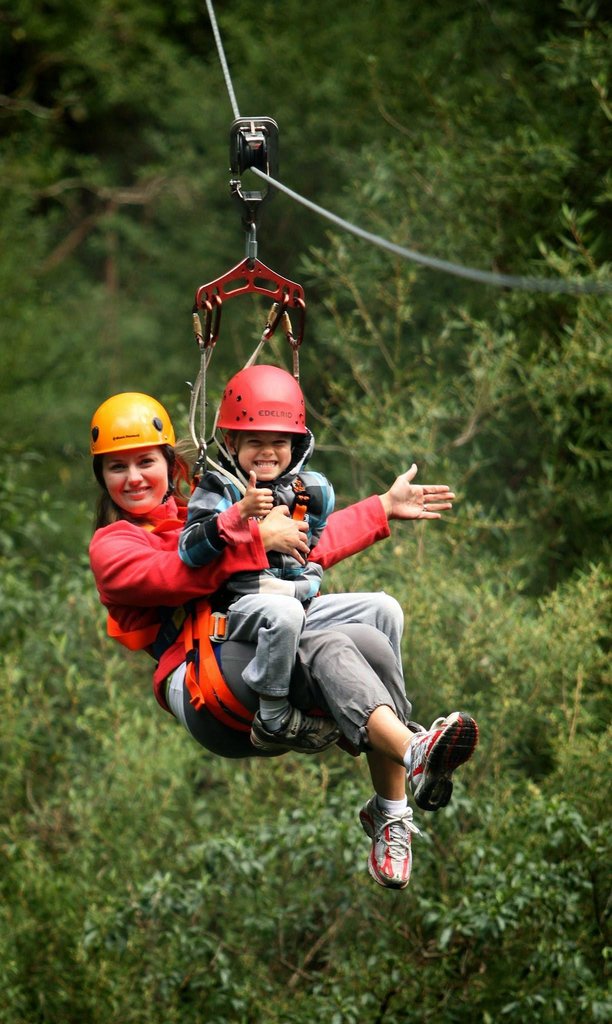 Landmark, attraction Otway Fly Treetop Adventures, Victoria, photo