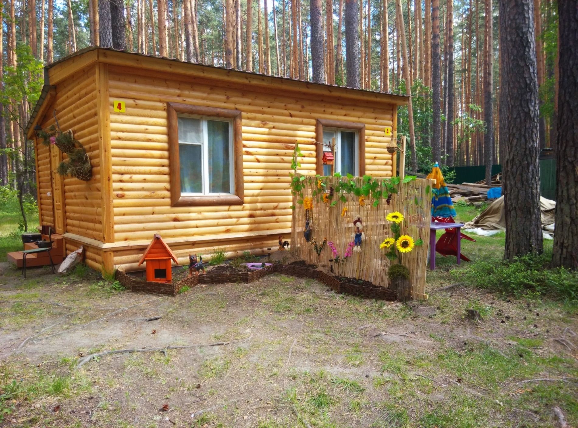 Фото Теремки