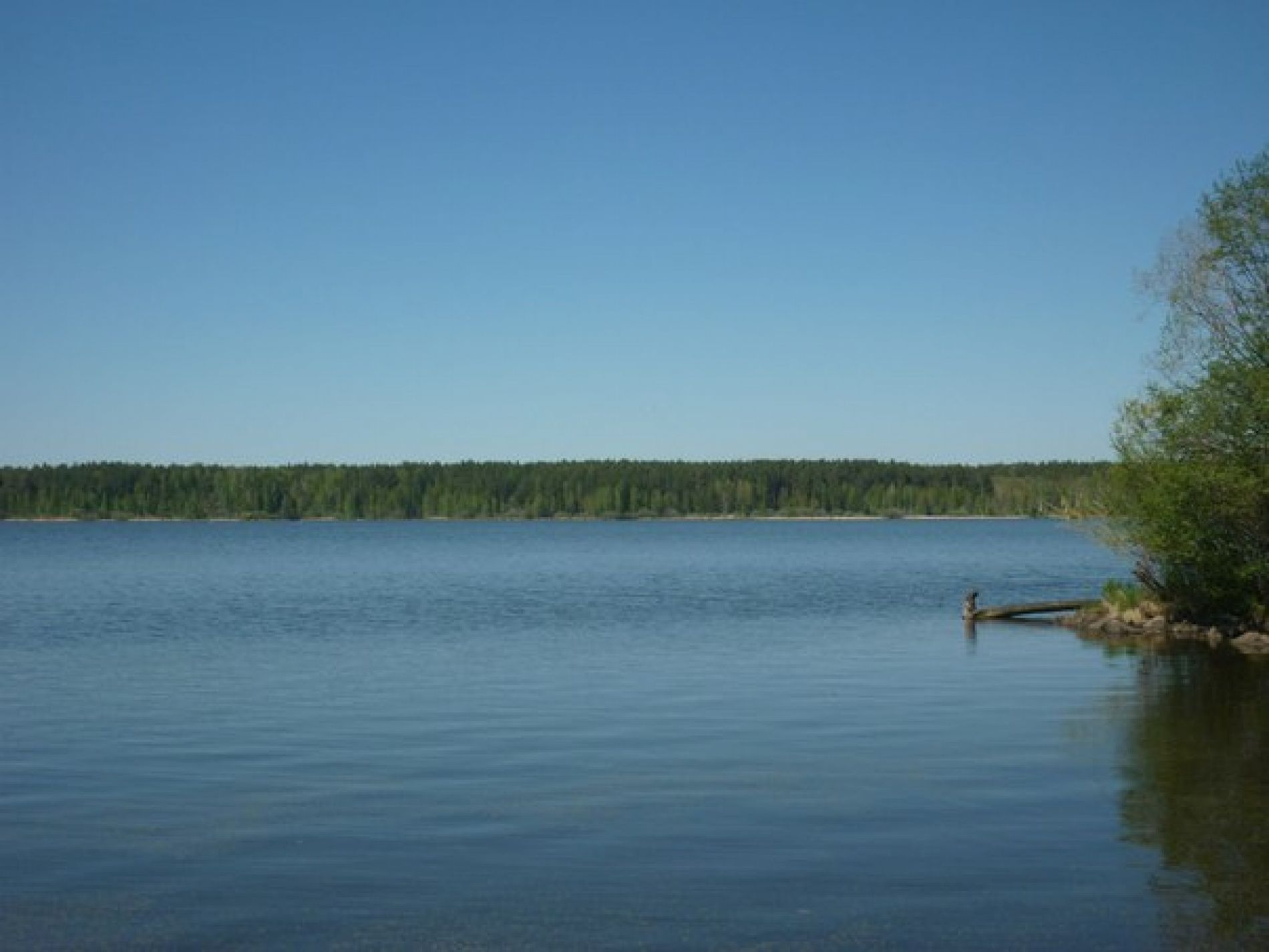 Фото Теремки