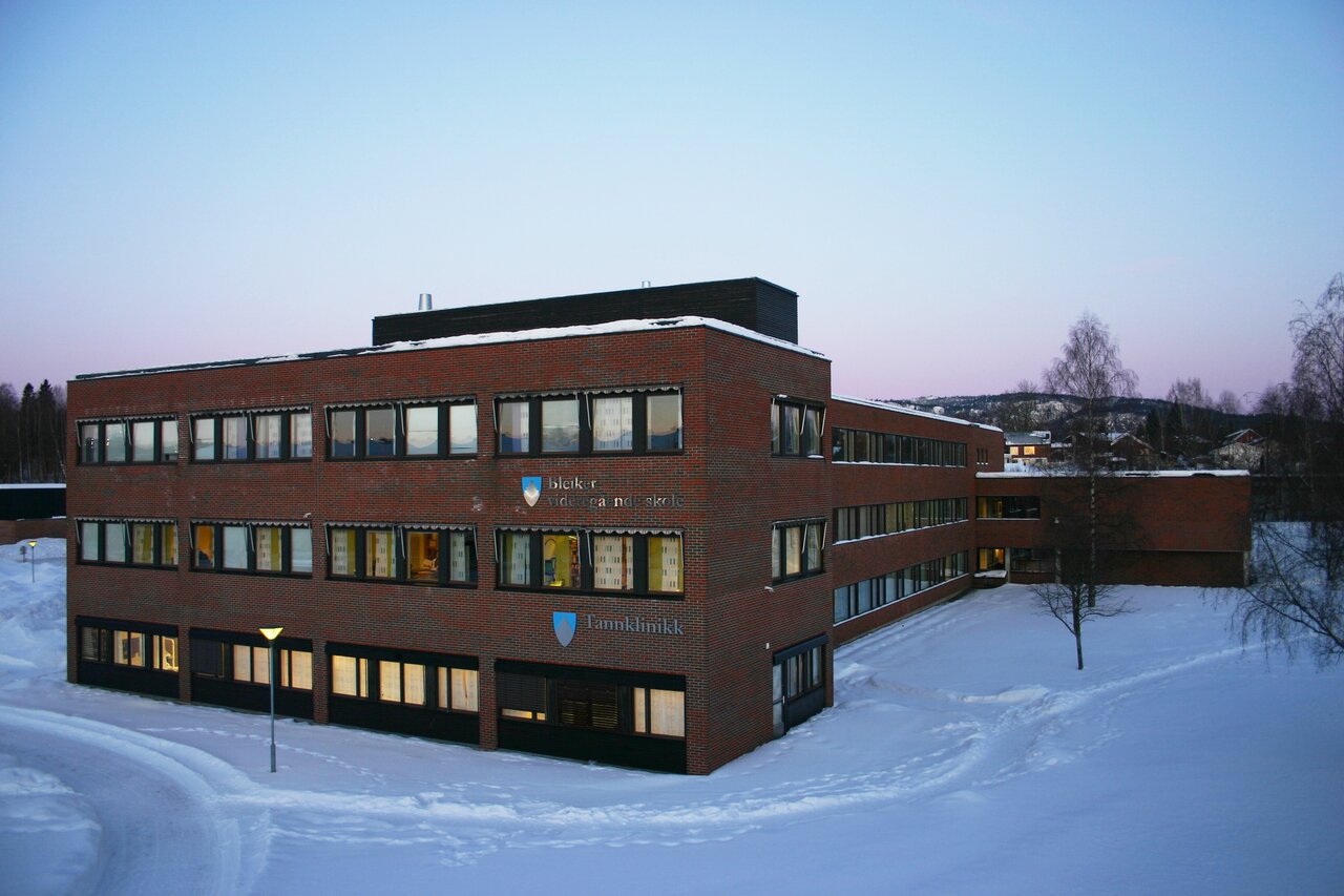 Школы норвегии