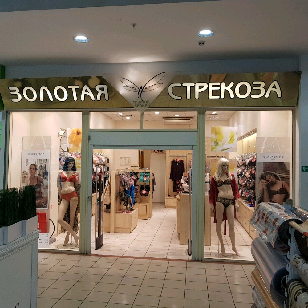 Золотая стрекоза комсомольская площадь 6 москва фото