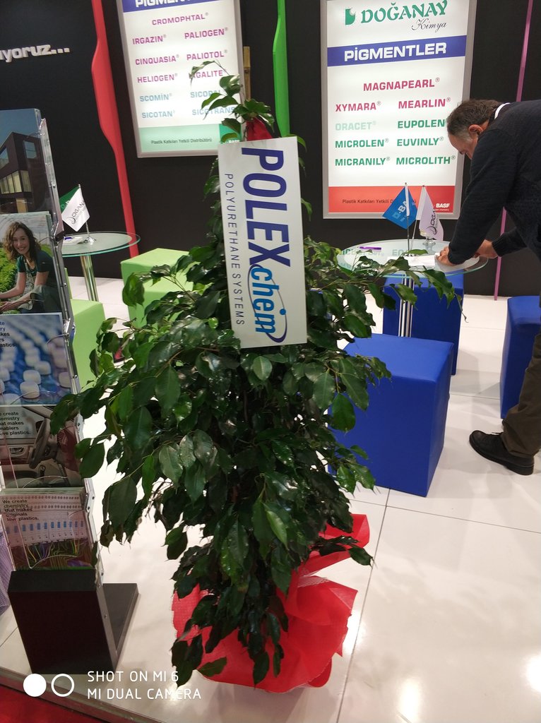 Flower shop Inter Trust International Floriculture, Istanbul, photo