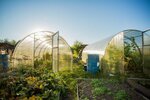 Теплицы Чайковский (Azina Street, 9), greenhouse equipment