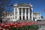 Palace of Children and Youth Creativity (проспект Нахимова, 4) ، دار الثقافة