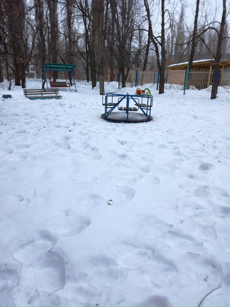 Playground Playground, Voronezh, photo