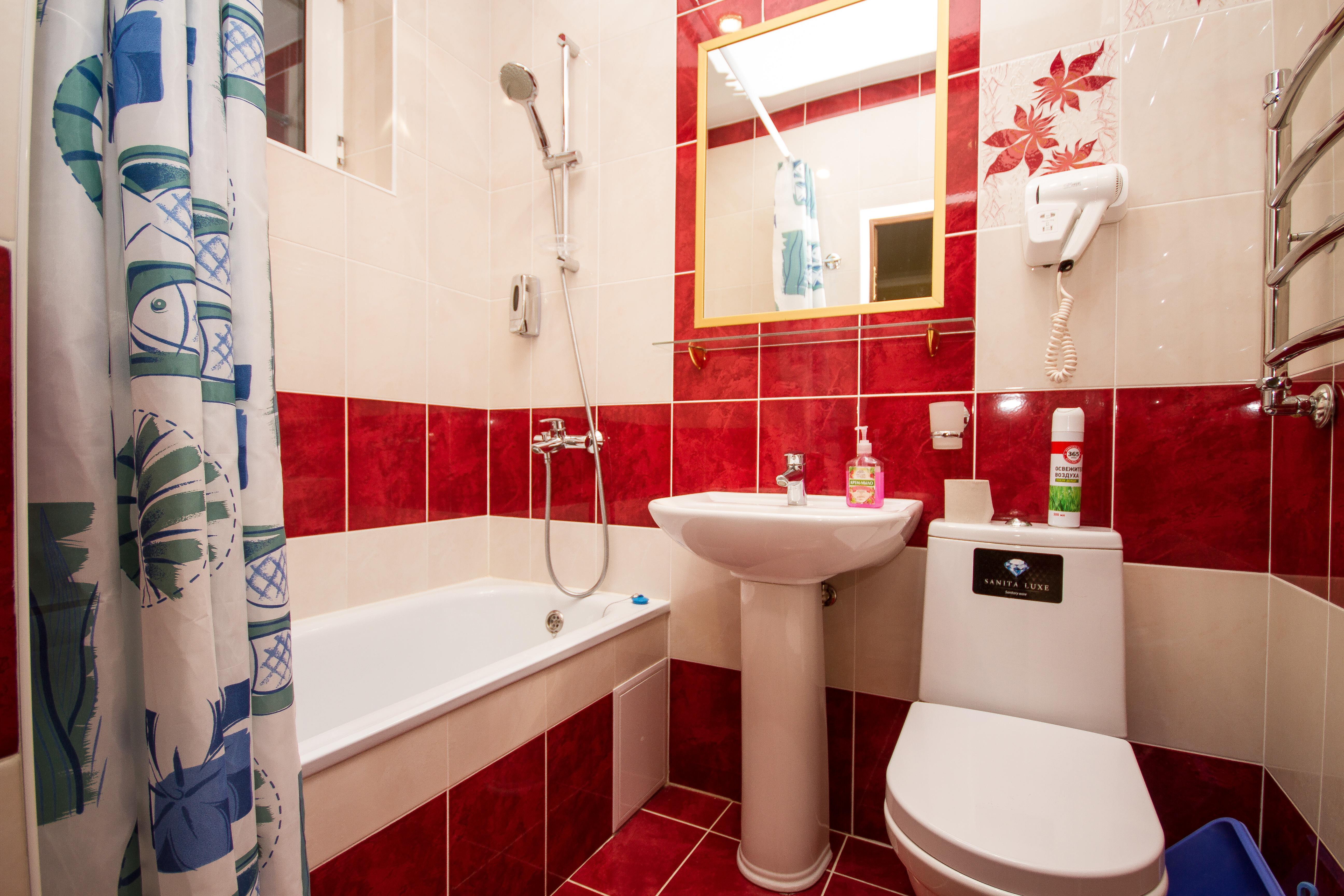 Фото Венера-1