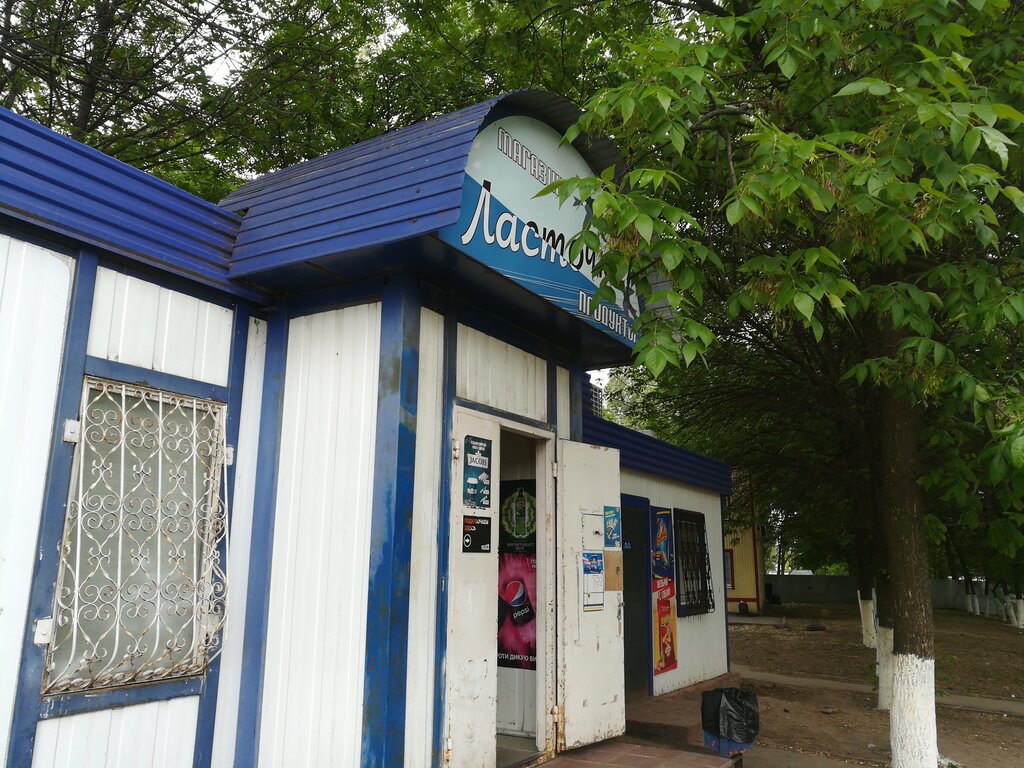 Магазин Ласточка Красноярск Официальный Сайт