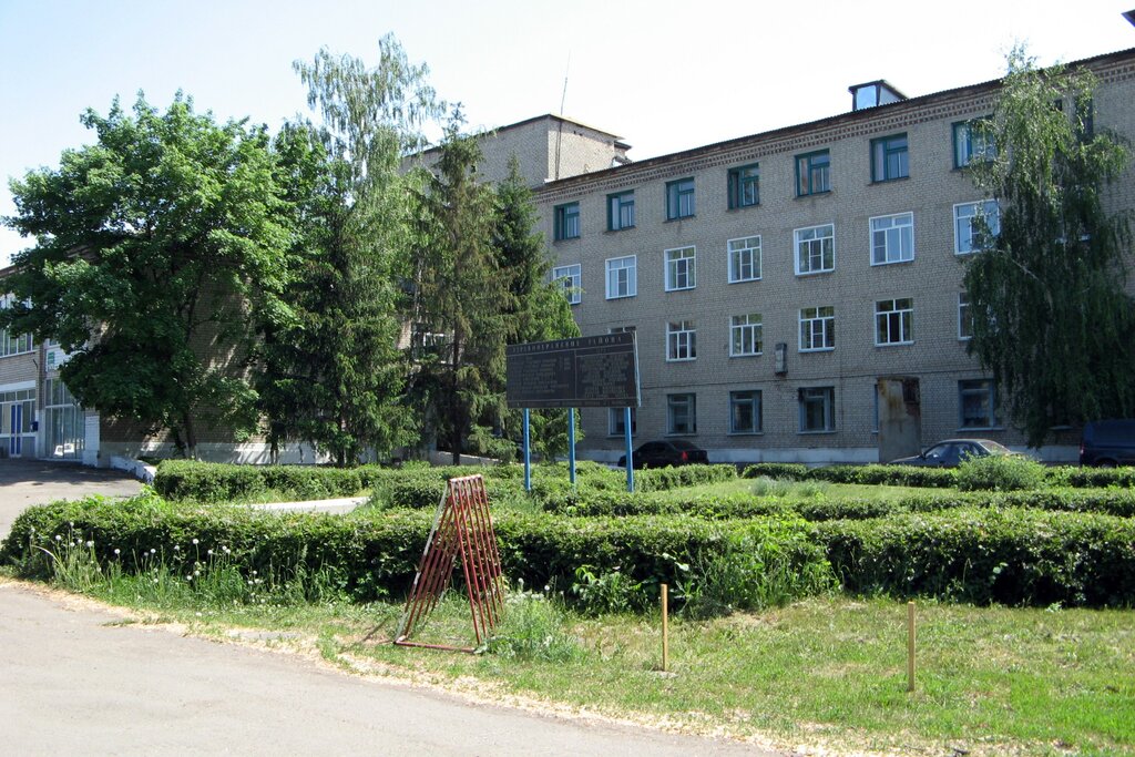 Hospital Talovskaya tsentralnaya rayonnaya bolnitsa, Voronezh Oblast, photo