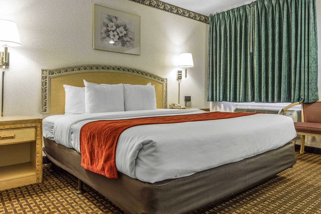 Comfort Inn Palo Alto Stanford University Gostinica Ssha Palo