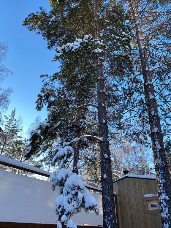 Фото Задубравье